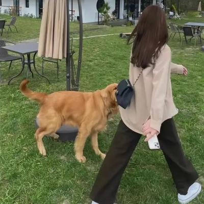 进击的皇后之真假皇后